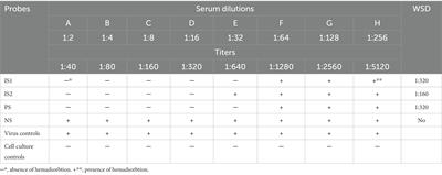 Seroimmunotyping of African swine fever virus